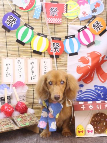 20240714ふうくん